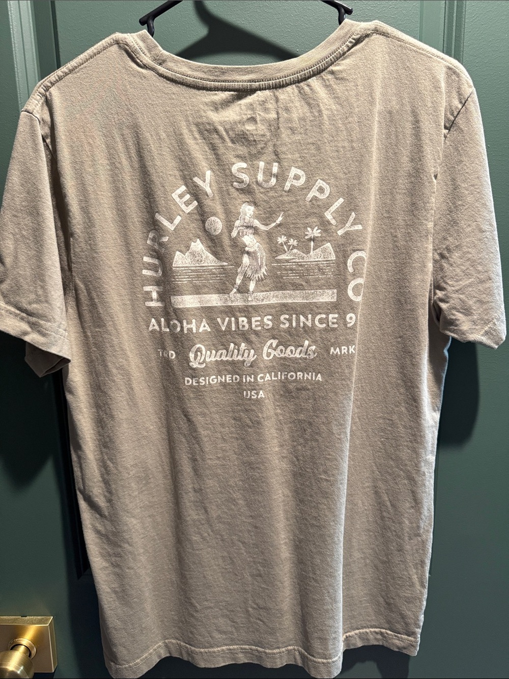 Men’s Aloha Vibes Graphic T-Shirt - Green